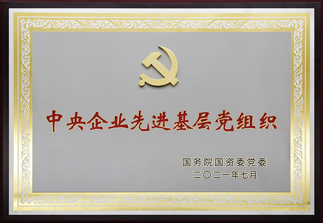 國珍松花粉-新時代健康產(chǎn)業(yè)（集團(tuán)）有限公司成立于1995年3月，是中國新時代控股（集團(tuán)）公司的控股子公司，總部設(shè)在北京，注冊資本1億元人民幣。公司是直銷行業(yè)內(nèi)首批獲得直銷牌照的內(nèi)資企業(yè)之一，也是行業(yè)內(nèi)唯一一家央屬企業(yè)。